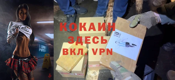 прущие крисы Бородино