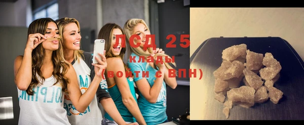 прущие крисы Бородино