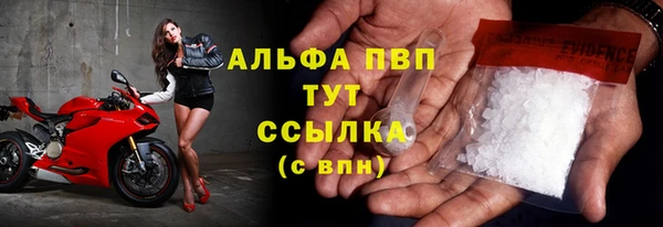прущие крисы Бородино
