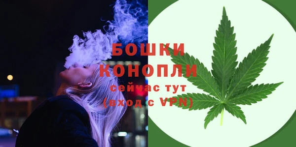 прущие крисы Бородино