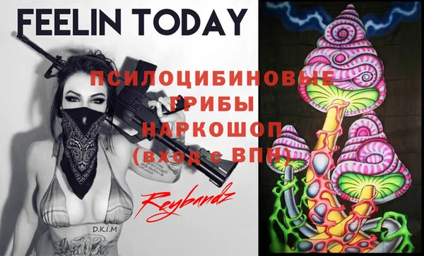 прущие крисы Бородино