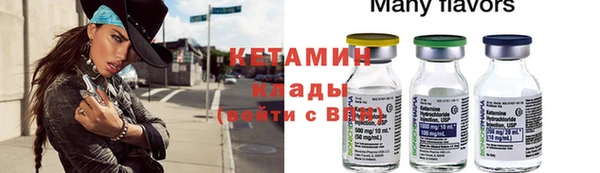 прущие крисы Бородино