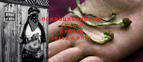 прущие крисы Бородино
