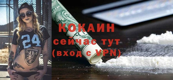 прущие крисы Бородино