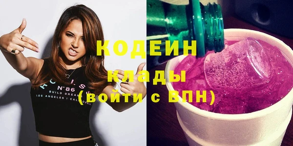 прущие крисы Бородино