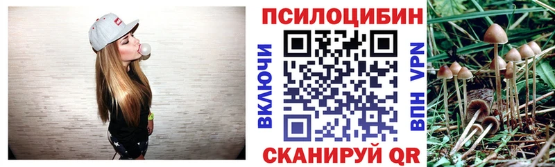 Псилоцибиновые грибы GOLDEN TEACHER  наркота  Фёдоровский 